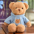 Cute brown teddy bear plush toy wearing a soft light blue hoodie with bear print - Hoodie Bear / 30 cm / Blue