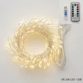 Warm white 6m 200 LED copper string lights with USB power and remote control - USB-A / Silver Thread