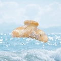 Elegant cream and amber marbled cellulose acetate hair claw clip with wave pattern - Translucent Apricot Yellow