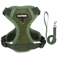 Forest green breathable mesh cat harness and leash set with safety buckle and V-pattern - Minimalist Green