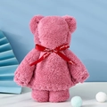 Pink coral fleece towel bear with red ribbon and Just for you text on blue background - Nordic Pink Bear (without Packaging) / 30*30cm