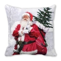 Close-up of Merry Christmas peach skin throw pillow featuring Santa Claus oil painting - Santa with Large Parcel