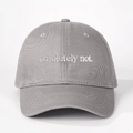 Close-up of gray cotton baseball cap featuring white absolutely not embroidery detail - Adjustable / Gray