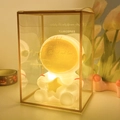 Astronaut night light in white with gold star in a premium gift box packaging - Astronaut # Gold Star / Gift Box Version