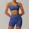 Dark blue two-piece seamless yoga set with V-neck sports bra and high-waisted shorts - Glazed Purple (Bra+Tight Shorts)