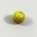 Realistic artificial green plum prop with smooth surface and realistic spots for decor - Mini Winter Date