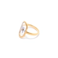Dettaglio macro dell'anello in acciaio oro 18K con un fiore secco blu nella resina - Ovale Dorato