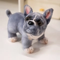 Blue and white French Bulldog plush toy in a sitting position with soft fur texture - Grey French Bulldog / 22cm (0.28kg)