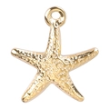 Makro-Detail des goldenen Seestern-Anhängers mit Textur und Edelstahl-Ringbefestigung - Gold