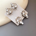 Set de 4 pinzas para el cabello vintage de plata con flores y textura cepillada - Set de 4 piezas / Plateado