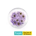 Macro shot of 20 pieces of purple dried plum blossom petals for nail art decoration - 20 Pcs Pack / Purple