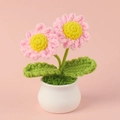 Close-up of handmade pink crochet daisies in a small white ceramic pot ornament - Pink
