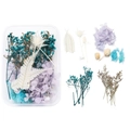 Detailed view of dried blue baby's breath and mixed petals in a transparent storage box - 06 Dried Flower 1 Box 27g