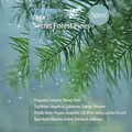 Cedar scented 50ml essential oil refill for waterless smart aromatherapy diffusers - Secret Pine Forest (No Machine)