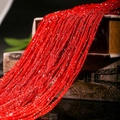 Eleganter roter Fadenvorhang mit Silberglitzer für moderne Raumdekoration - 1x2m / Rot