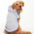 Cozy grey pet hoodie with black striped cuffs for large golden retriever dogs - Big Dog Adidas Gray / Xs (chest Circumference 27cm Recommended For Pets Weighing 1-2 Catties)