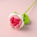 Close-up of handmade crochet rose with pink and white petals and green leaves - Gradient Rose Red Rose