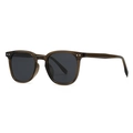 Classic round polarized sunglasses with transparent brown frames and silver rivets - Tea Frame Grey