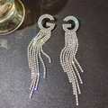 Macro shot of silver tassel earrings with G-shape top and sparkling white crystal chains - Letter G Rhinestone Tassel (331)