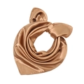 Close-up of champagne gold satin scarf with smooth silk texture and rolled edge detail - Dark Camel