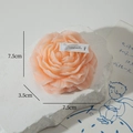 Peach pink peony flower scented candle for home decor 7.5cm x 3.5cm variant size - Nude Pink