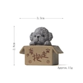 Miniature resin teddy dog figurine in a cardboard box for garden landscape decor - Grey Teddy