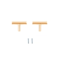 Set of two brushed gold T-bar cabinet handles with silver mounting screws - 1 Pair Small Tray Handles (Gold)