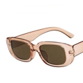 Retro rectangle sunglasses with translucent champagne frames and dark brown lenses - Transparent Pink Frame Tea Lenses