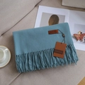 Solid light blue cashmere feel scarf with long tassels and premium leather brand tag - 23# Haze Blue