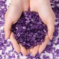 Polierte unregelmäßige lila Amethyst-Kristalle in den Händen zur Heimdekoration - Lila Kristallsplitter 5-7mm / 100g Packung