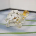 Detail of crystal turtle figurine with white stones and gold foil in resin - White Pine + Gold Foil