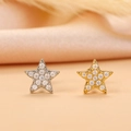 Macro shot of gold and silver star stud earrings with micro-paved sparkling crystals - Star Style (9) / Gold