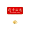 Red enamel lapel pin with gold trim and Pass Every Exam text for students - Pass Every Exam Slogan