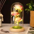 Preserved pink roses in glass dome with LED fairy lights and wooden base decor - Wood Base Pink Flower + Lawn