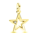 Sternförmiger Goldanhänger mit funkelndem weißem Kristall für DIY-Armbänder - Goldener Zirkonia-Stern (5988952208335)