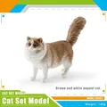 Modello realistico di gatto Ragdoll marrone e bianco per set di giochi bimbi - Ragdoll Marrone Bianco (PL127-1561)
