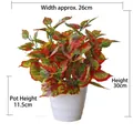 Artificial green leaf plant in white pot measuring 30cm height and 26cm width - Large Pot + Red Maple Leaf