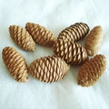 Set of 8 natural dried pine cones in rustic brown for DIY crafts and home decoration - A1-1# 4-6CM Spruce Pine Cone