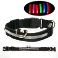 LED glowing dog collar with S size tag, nylon mesh fabric and multiple light colors - XS-Battery / White (Black Webbing with White Light)