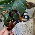 Detalle de una pinza de pelo grande en ámbar carey con un diseño de lazo brillante - 10.5cm / Tortoise