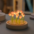Single Glass Dome (No Flowers No Base) 9 Pink Tulips