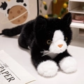 Adorable black and white tuxedo cat plush toy in a realistic lying posture on a table - Black & White Cat