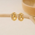 Gold-plated hoop earrings with double rows of zircon inlay on a minimalist branch display - EH411033