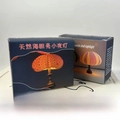 Natural sea urchin shell nightlight in orange and striped variants with gift box - Pink Sea Urchin Lamp Kit With Box