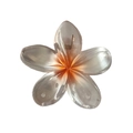Translucent orange and clear gradient frangipani flower hair claw clip for women - Pearly Plumeria Claw [Orange]