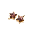 Star-shaped necklace pendant featuring deep red faceted stone in golden stainless steel - Red Brown