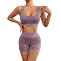 Ensemble de yoga côtelé violet délavé avec short taille haute et soutien-gorge de sport - S / Ensemble Lapin Violet
