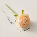 Artificial champagne Gerber Daisy flower with 20cm stem and 8cm diameter silk petal head - Lychee Rose / Champagne