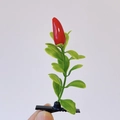 Creative hair clip with shiny red chili pepper design and green leaves on a black metal clip - Red Chili Tree