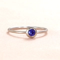 Minimalist silver stainless steel ring featuring a round blue birthstone inlay - US Size 7 / Steel-Blue (Sep)